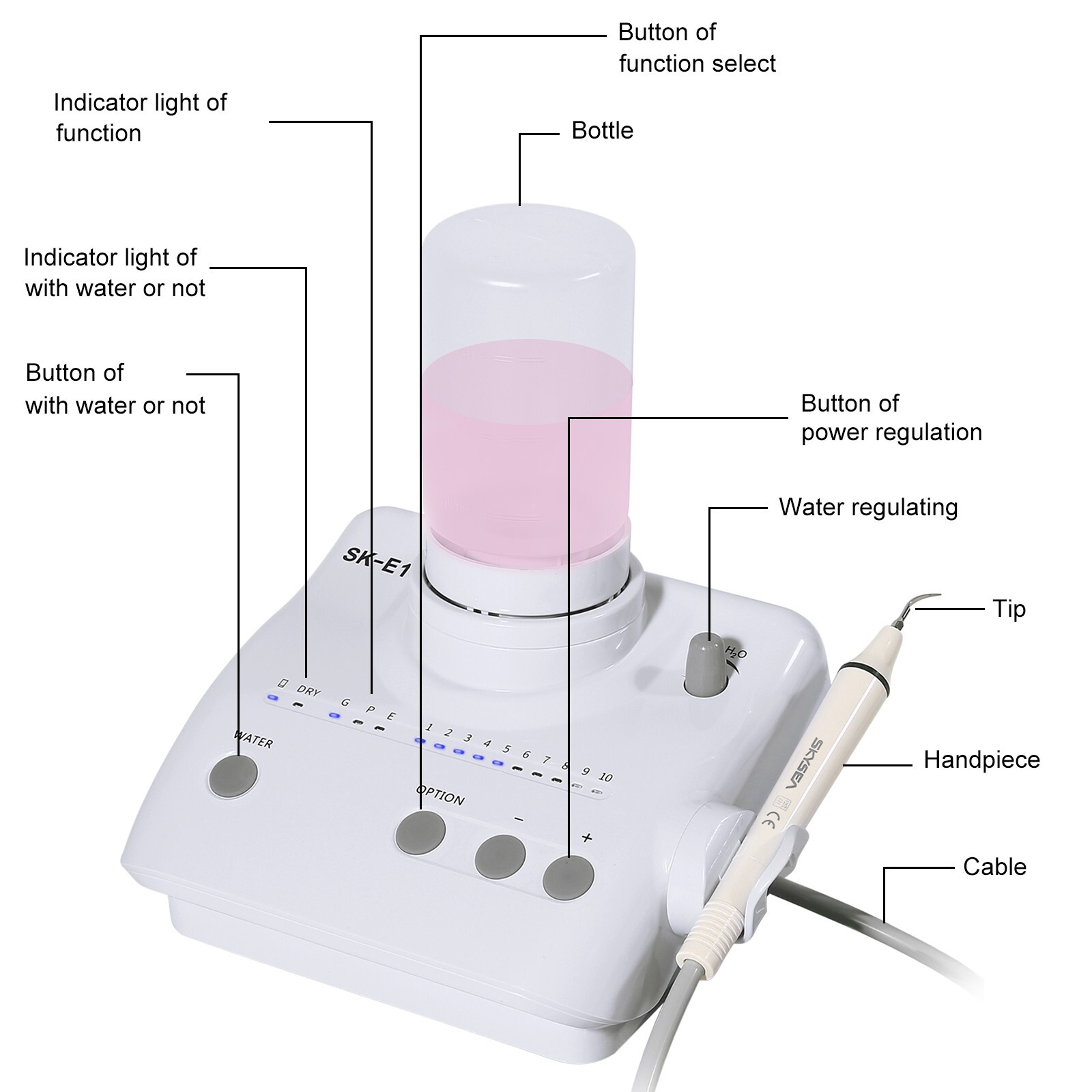 For Cavitron Dental Portable Ultrasonic Piezo Scaler 2*Bottles Fit EMS Handpiece