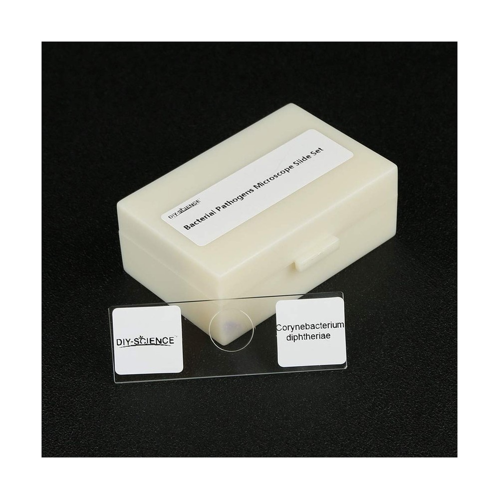 Prepared Bacterial Pathogens Microscope Slide Set, 12pcs Demonstrates The Bac...