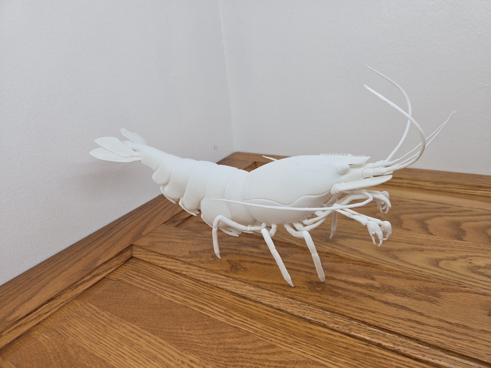 Solid white snowball Neocaridina Shrimp 3d Print READ DESCRIPTION
