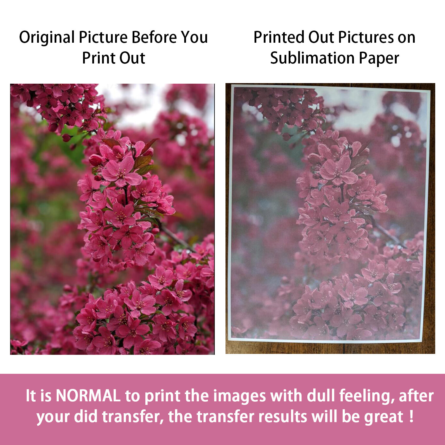 Bundle 110 Sheets Sublimation Paper A4 8.3x11.7 + Sublimation Ink Epson Printer