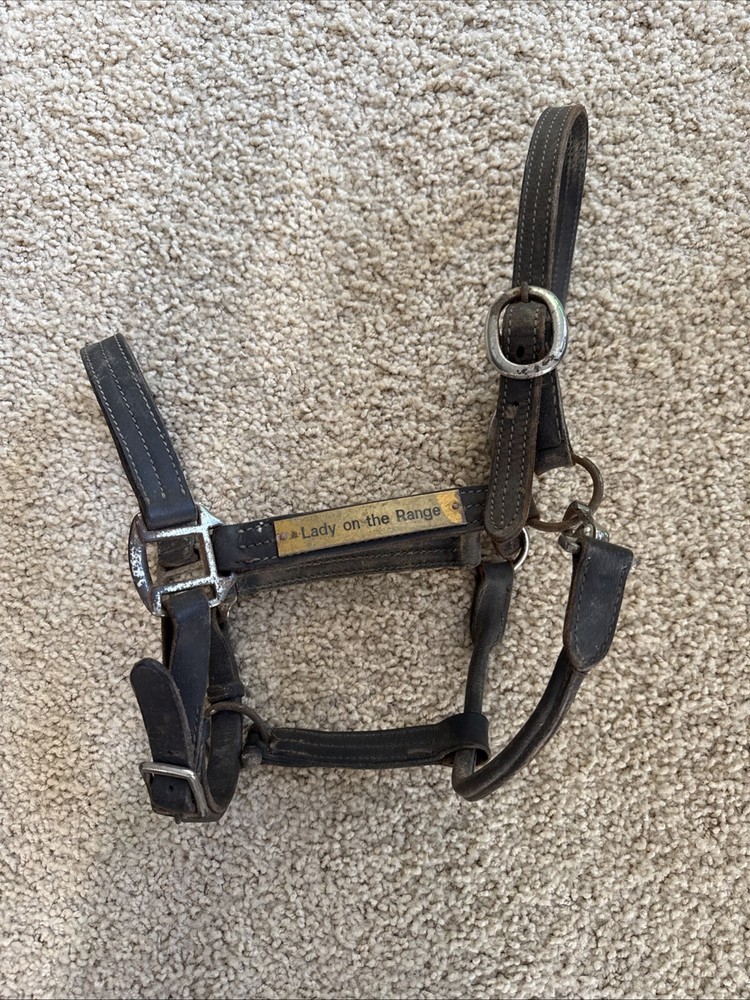 BROKEN Leathed Horse Size Halter - Use For Hardware