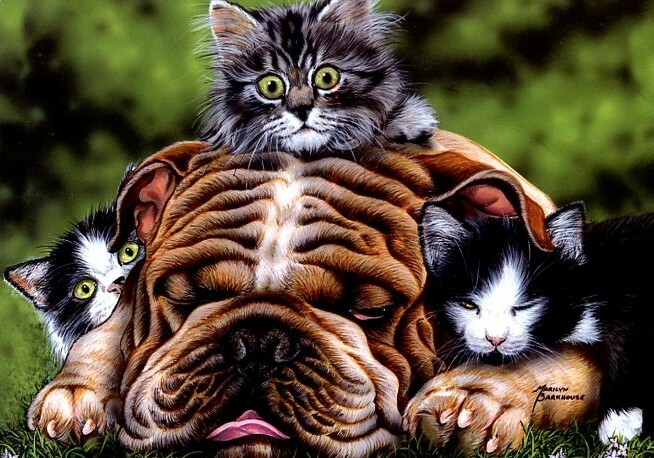 Wrinkles - 14179