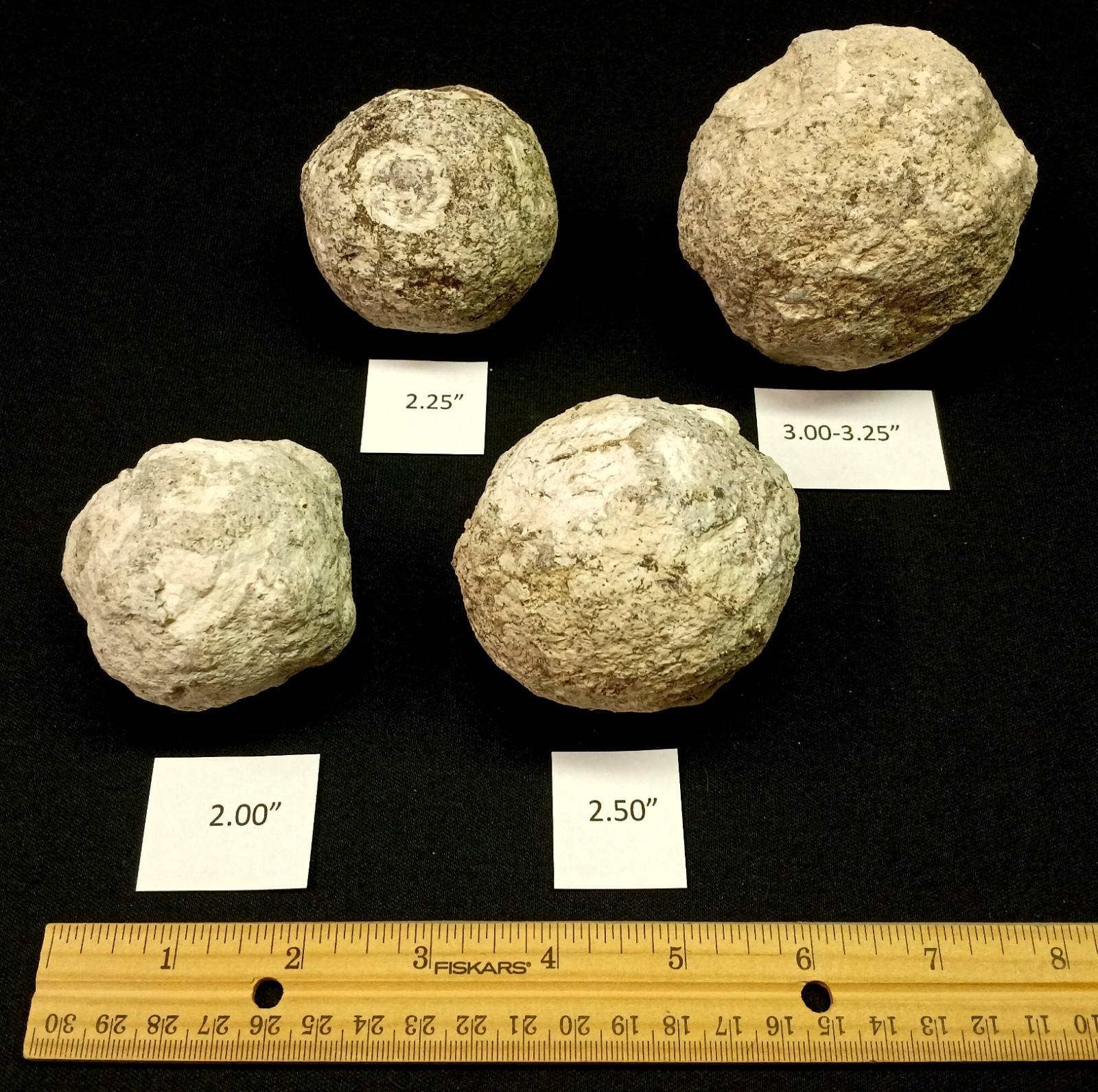 Whole Guaranteed Hollow Colorful Mexican Coconut Choyas Geodes, Mine Direct!