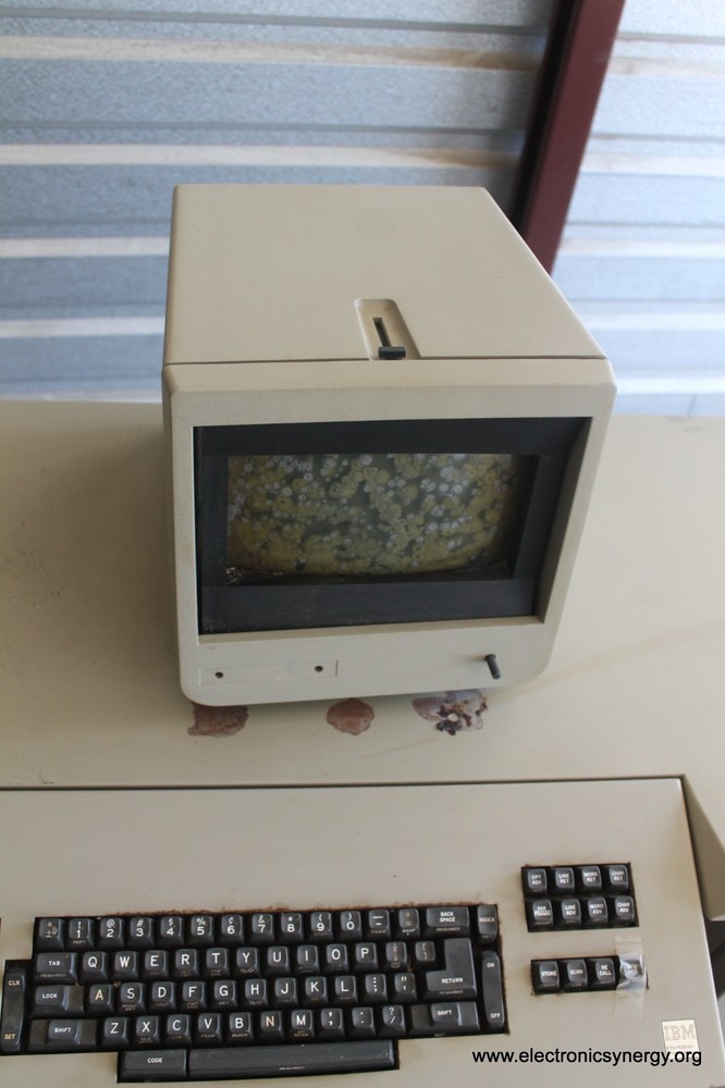 IBM System/6 Model 450 Office Computer System w/ Console and Printer