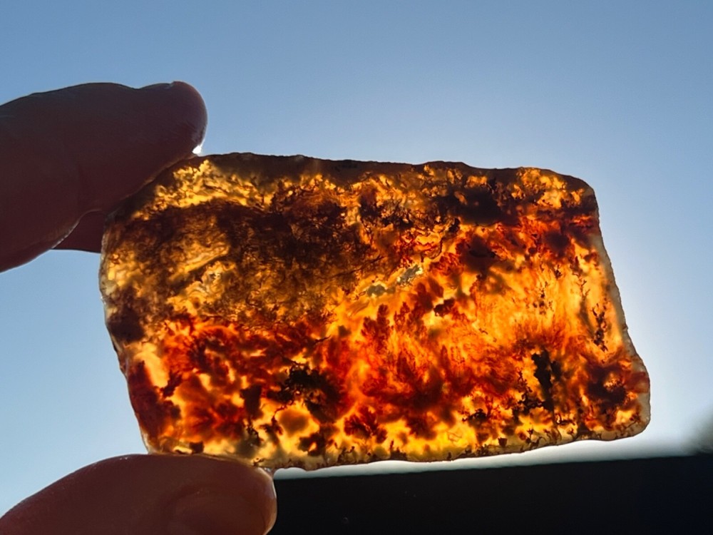 (X2) Rare Powell Butte Plume Agate Rough Slabs (C33)