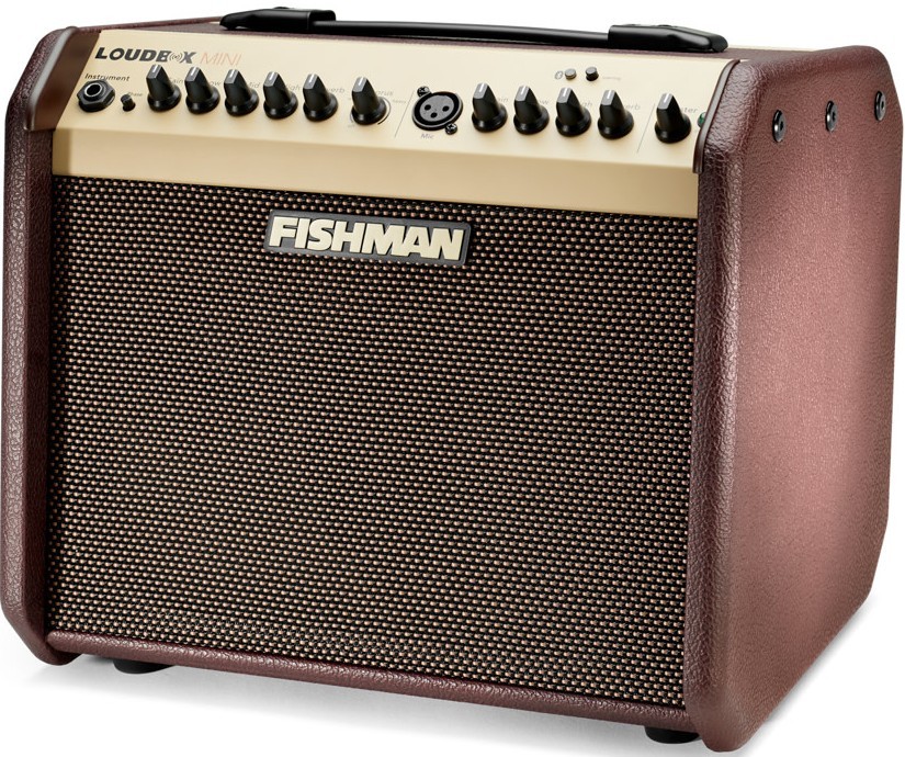 Fishman Loudbox Mini Bluetooth - 60 watts