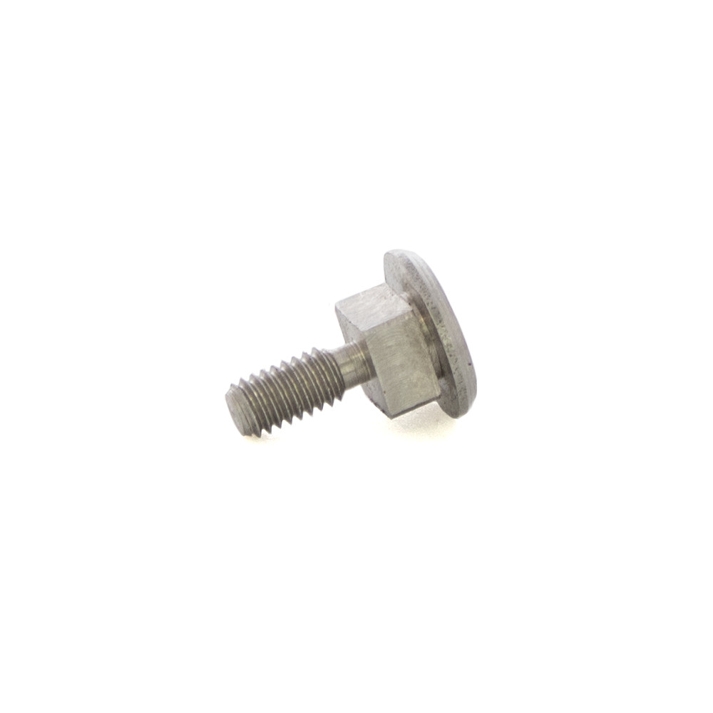 REMNANT HOLDER SCREW