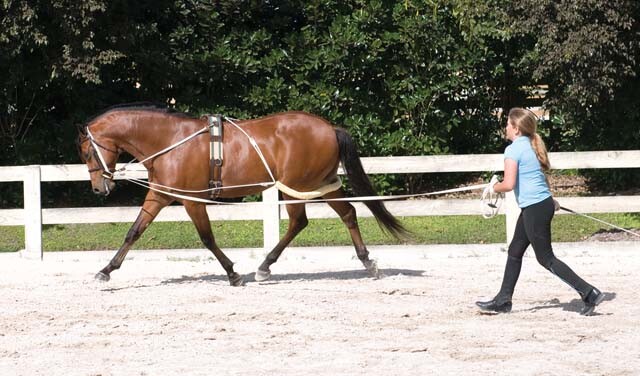 Pessoa Lunging System