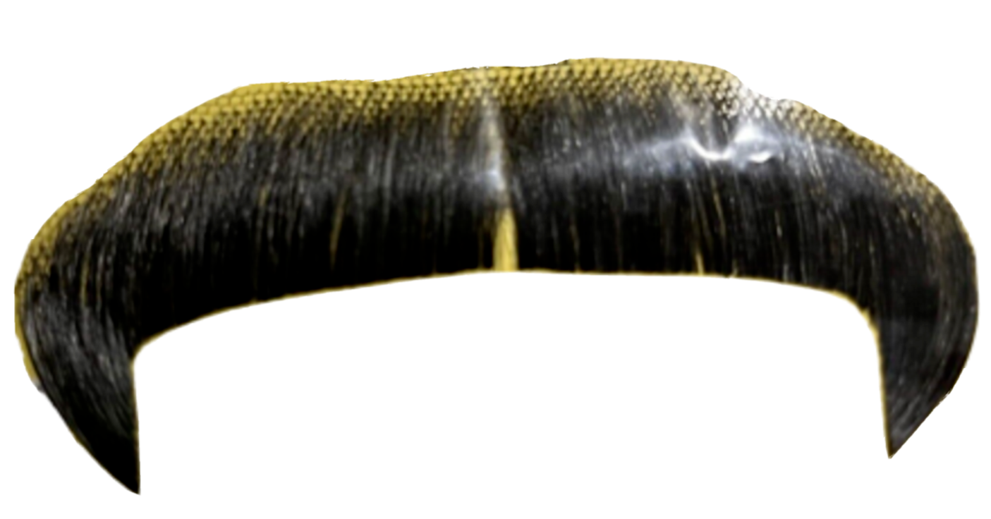 Rubies' Professional Winchester Theatrical Facial Moustache100% Human Hair-Black