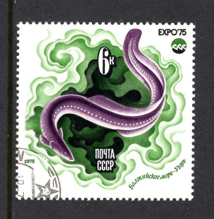 Russia 1975 EEL, BALTIC SEA, OCEANEXPO 75 EMBLEM SC 4345 VFU