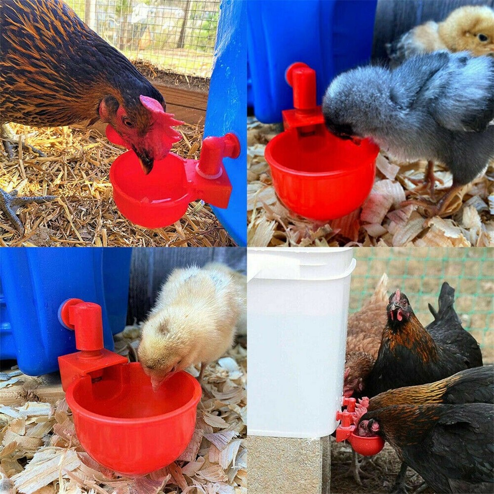 6 PCS Automatic Water Cups Poultry Drinker Waterer Chicken Duck Quail Drinking