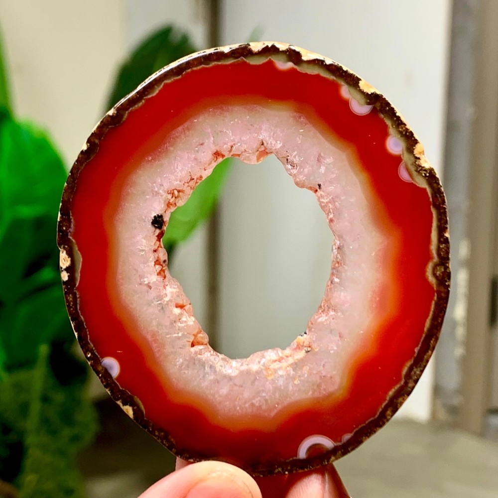38G Natural Beautiful Agate Geode Druzy Slice Extra Large Gemstone