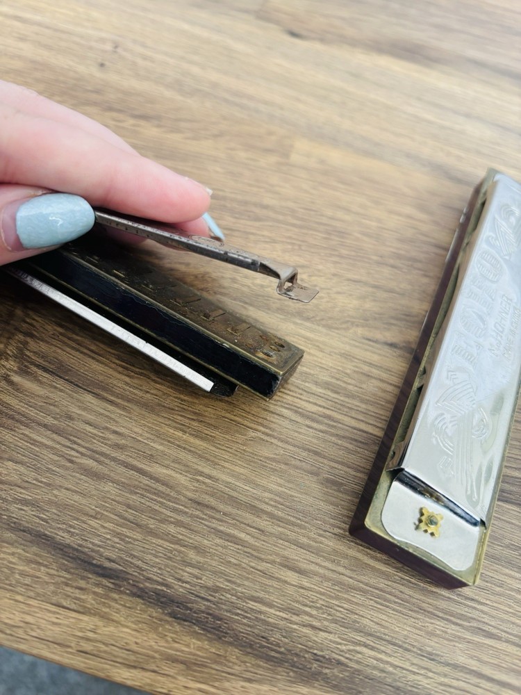 M.Hohner Echo Harmonica Bundle - 2 Harmonicas - See Description