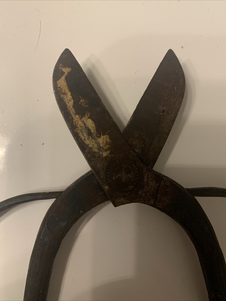 Vintage Forged Bonsai Garden Scissors