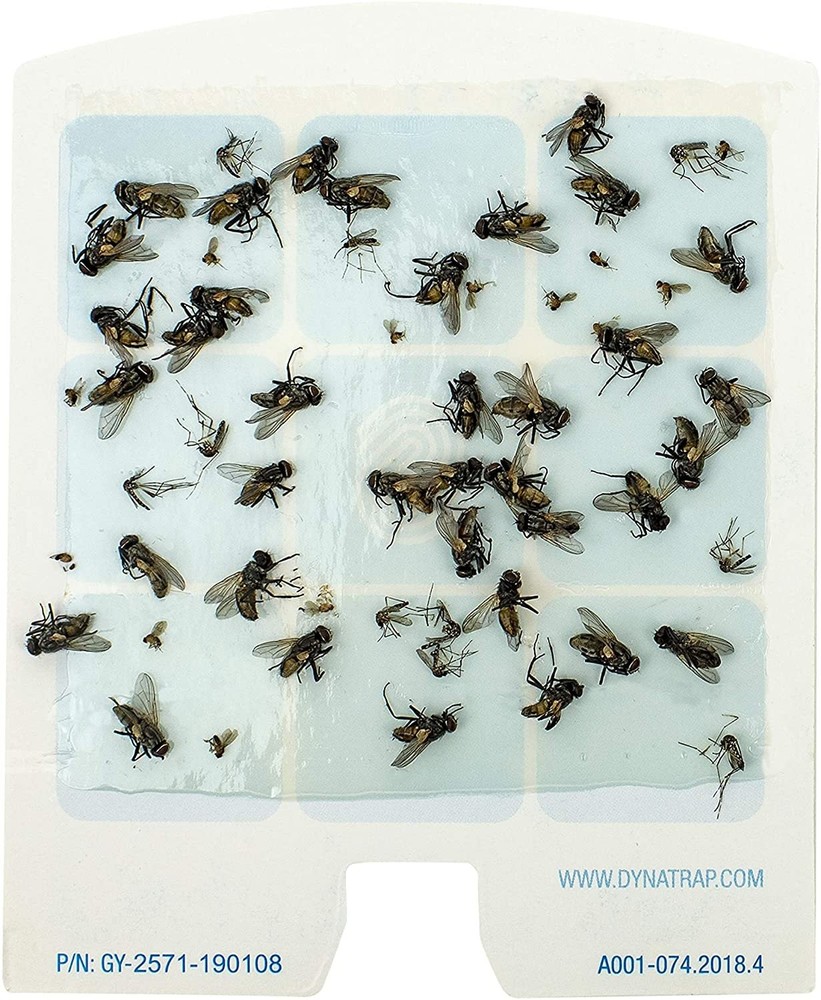 DynaTrap 23005-06 DOT StickyTech Replacement Glue Cards - Cloud