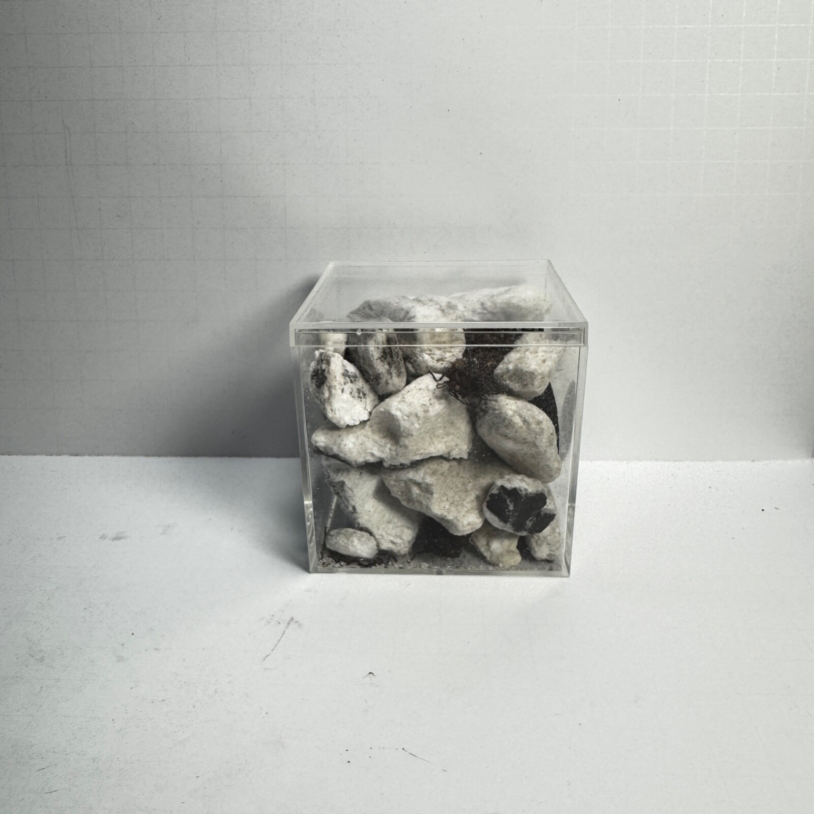 Space X Starship 34 - Recovered Heat Shield Tile Pieces - Flight 8