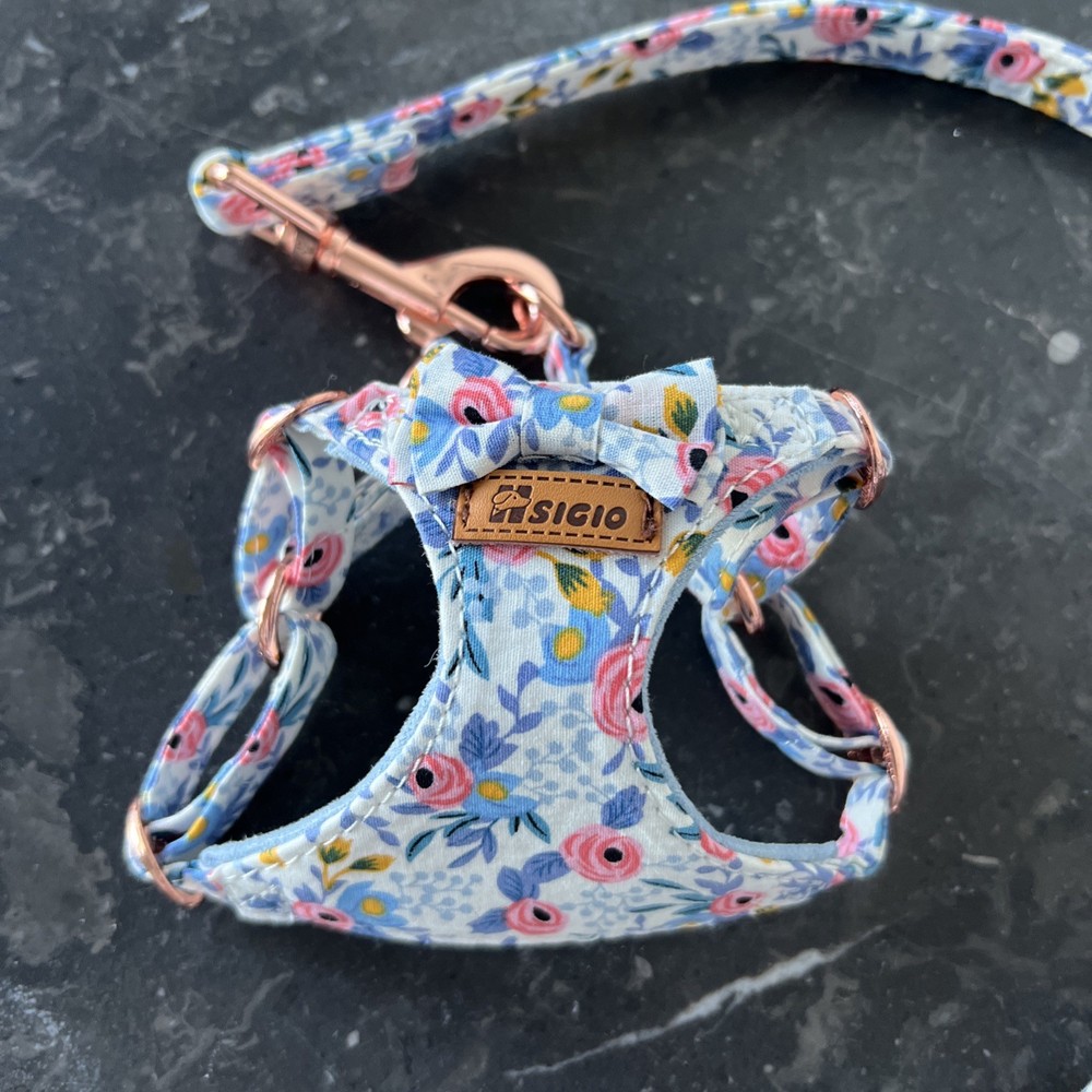 Tiny dog harness and leash set