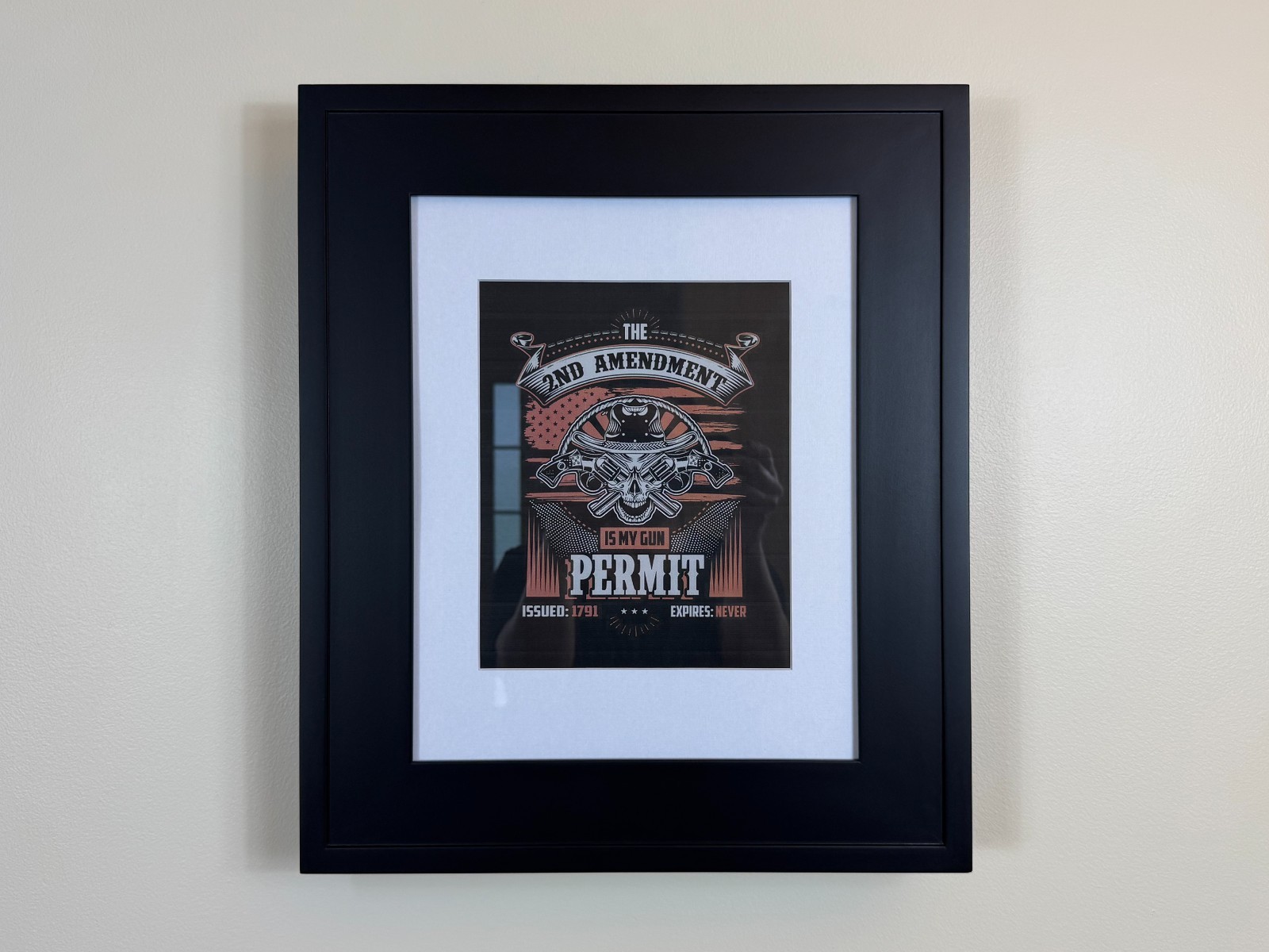 Gun Storage Picture Frame with Lock | Hidden Gun Concealment 19" x 16" / BLACK