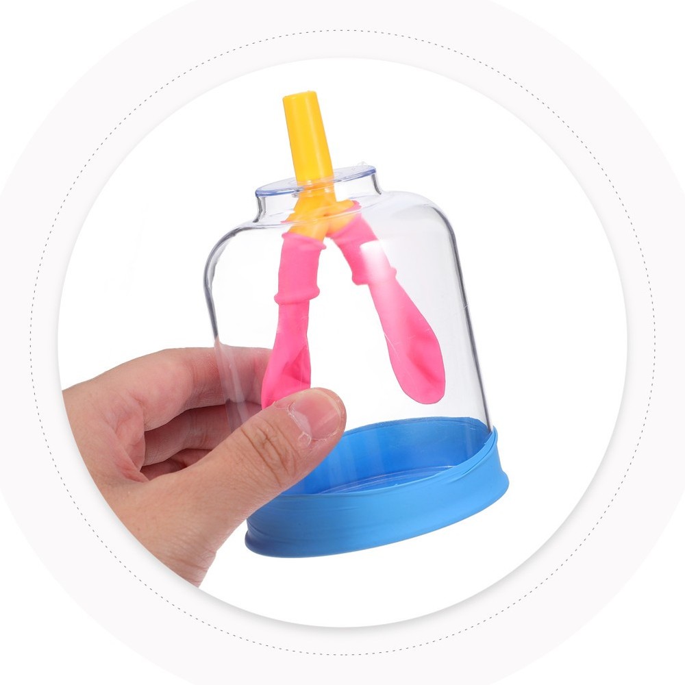 Lung Demonstration Model Function Teaching Aid