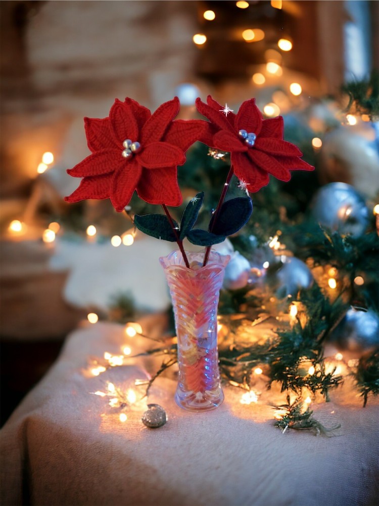 Crochet Christmas Star