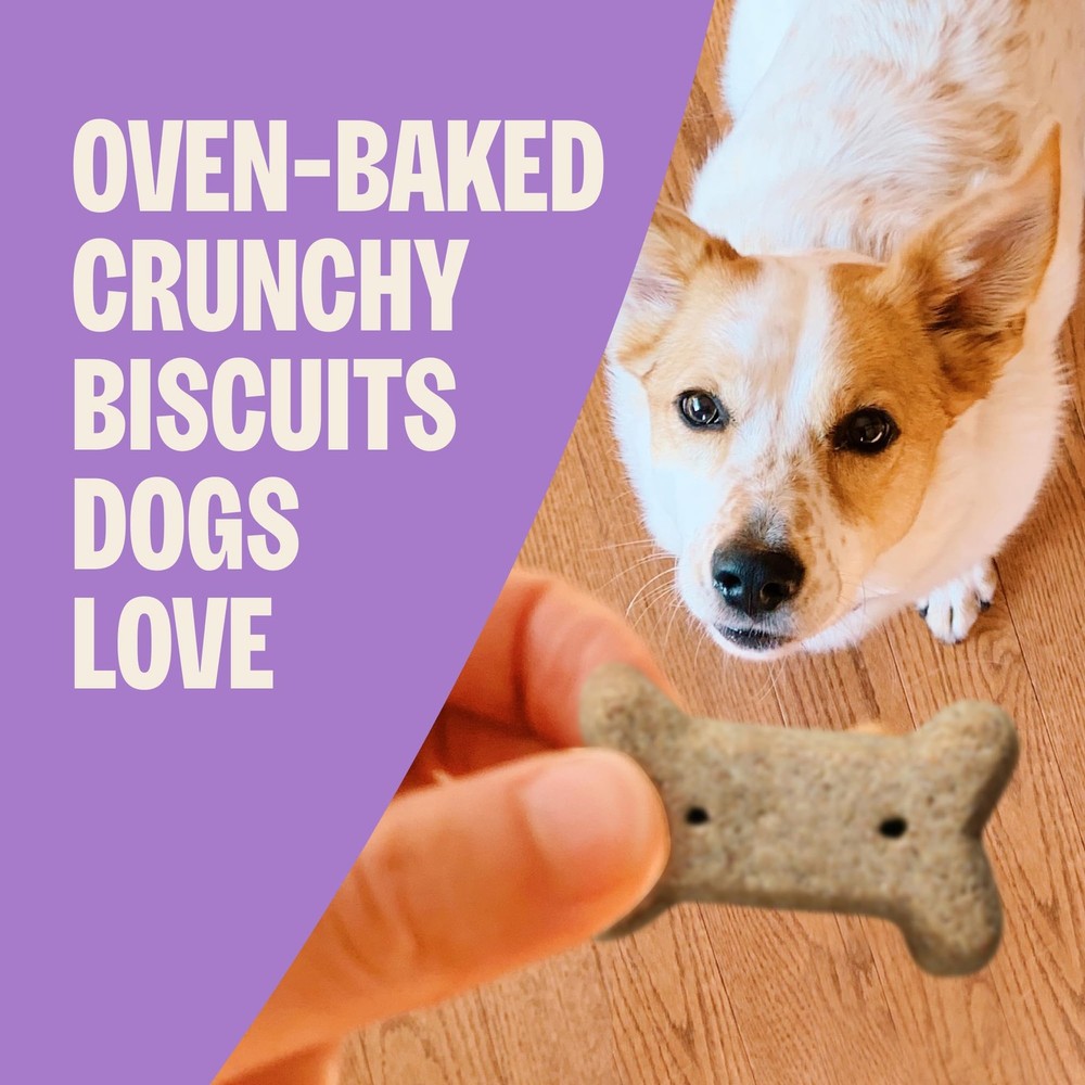 Old Mother Hubbard Mini Dog Biscuits 20oz