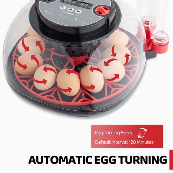 US 12 Egg Incubator with Automatic Egg Turning, Temperature and humidity Control