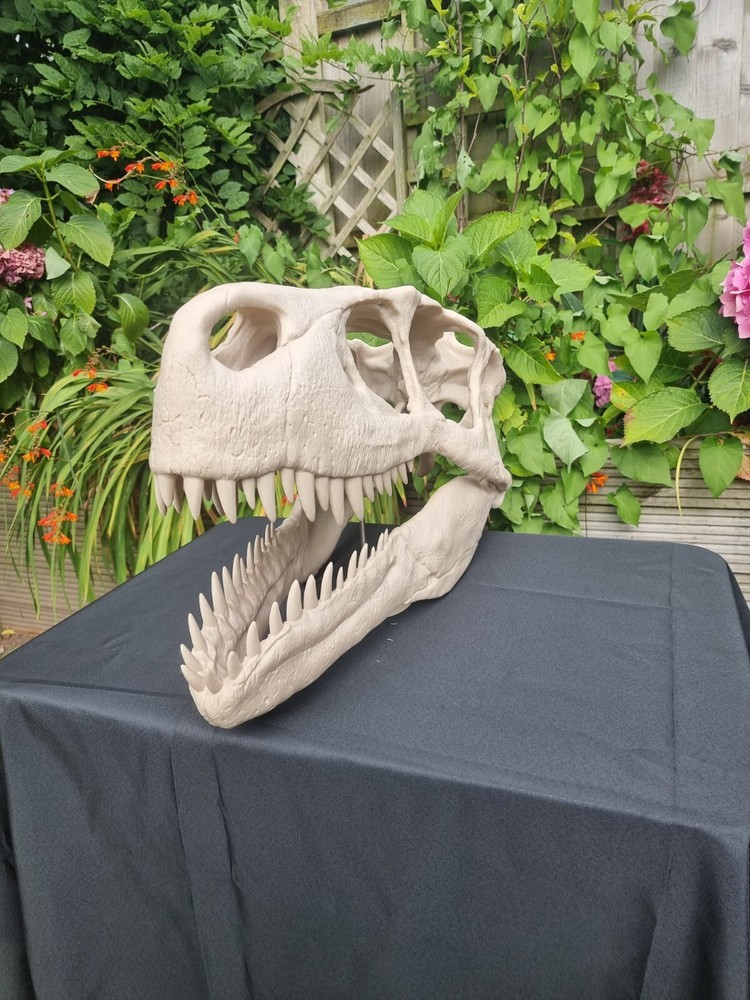 Utahraptor Life-size Dinosaur Replica Skull