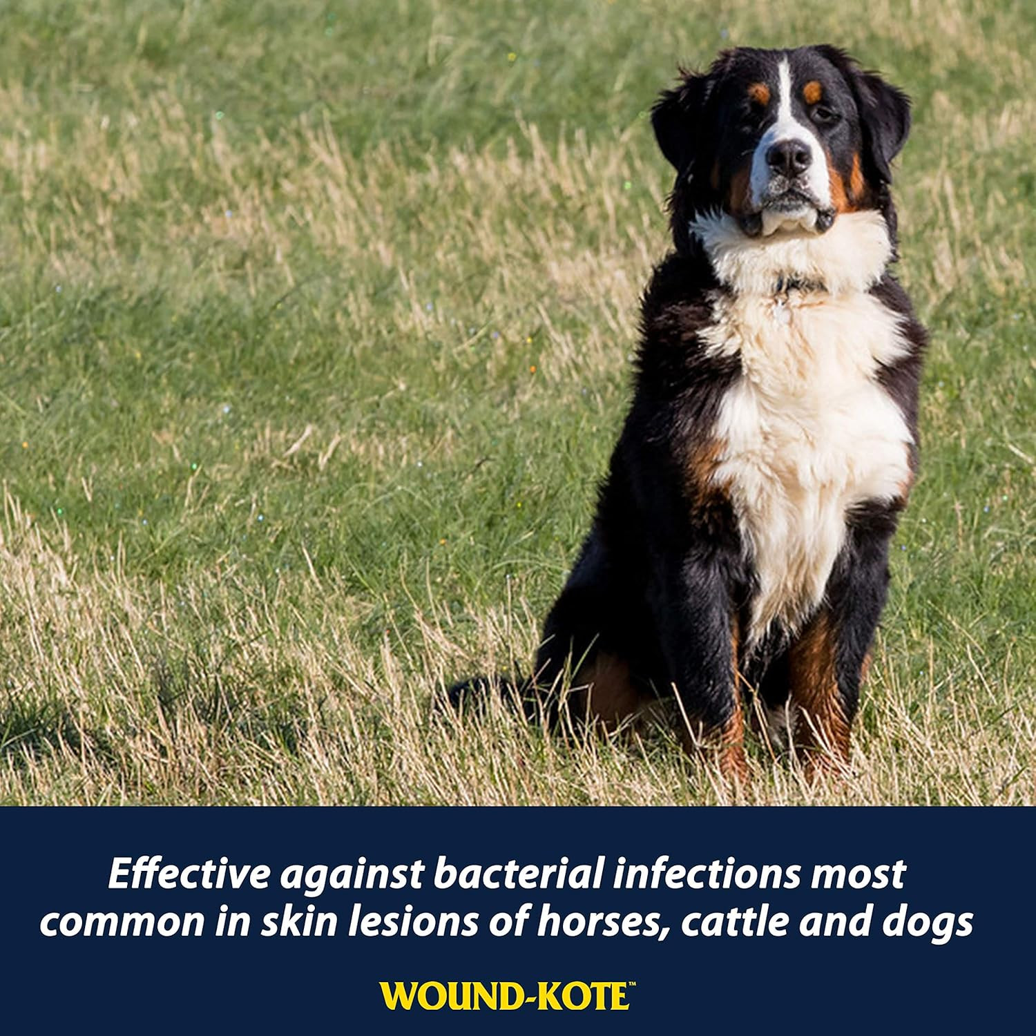 Wound-Kote Blue Lotion Spray Horse Wound Care for Use on Horses and Dogs, Antise