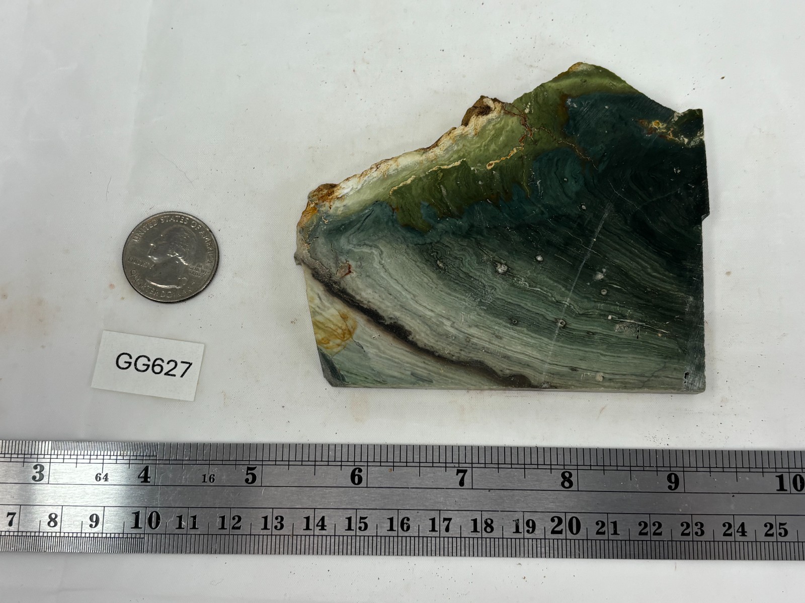 Gary Green Caldera Freedom Jasper Slab Cabbing Lapidary Combo Ship Avail