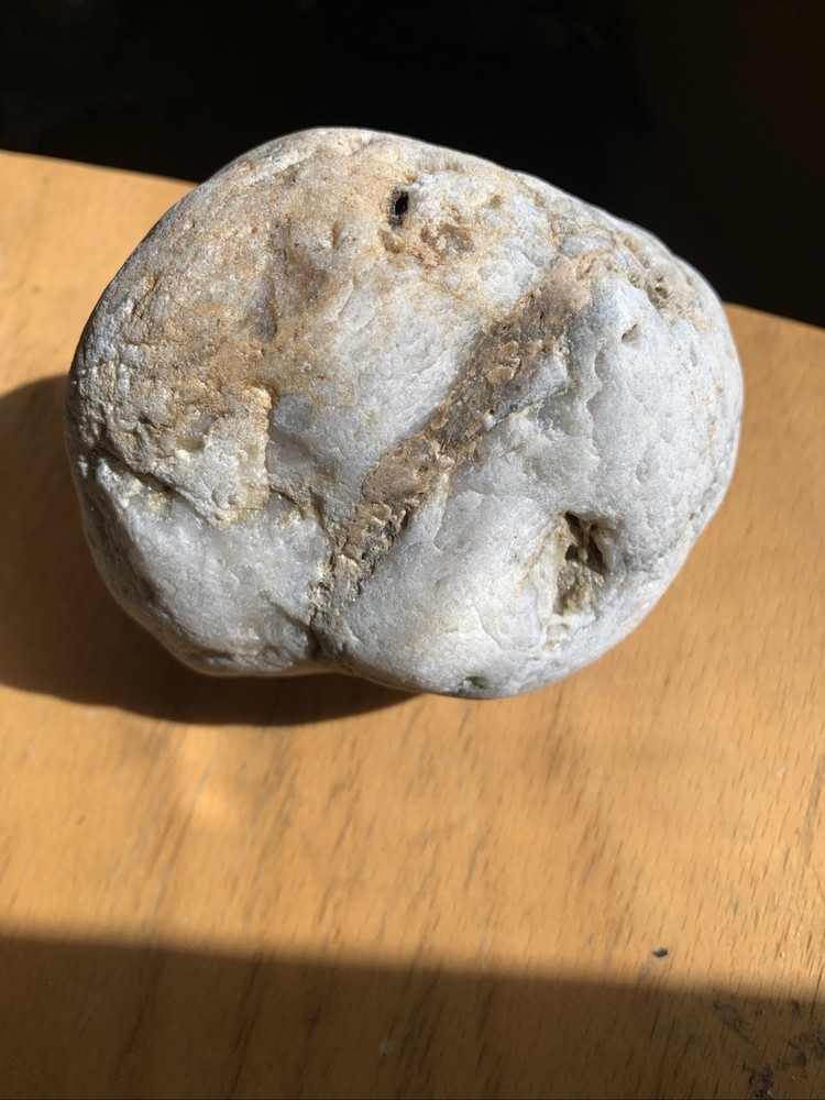 Gold And Silver Ore In Milky Quartz