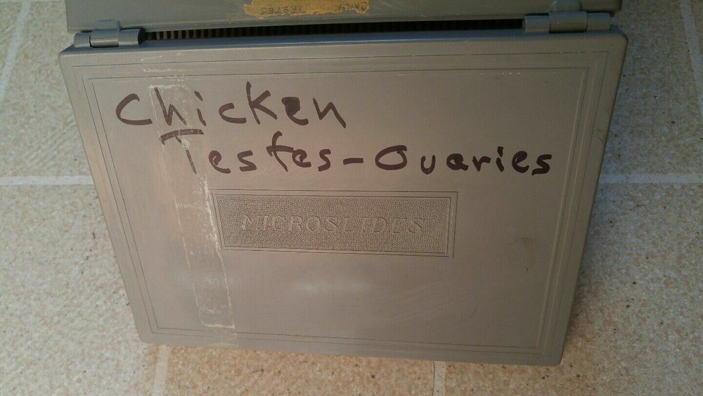 Microscope Slide Box Plastic Grey Used Capacity 100 Slides Microslide