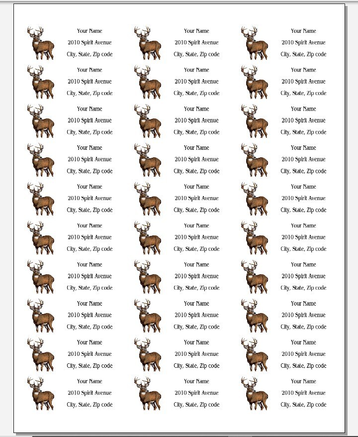 150 Buck 10 point Deer Mailing Return Address Labels Personalized