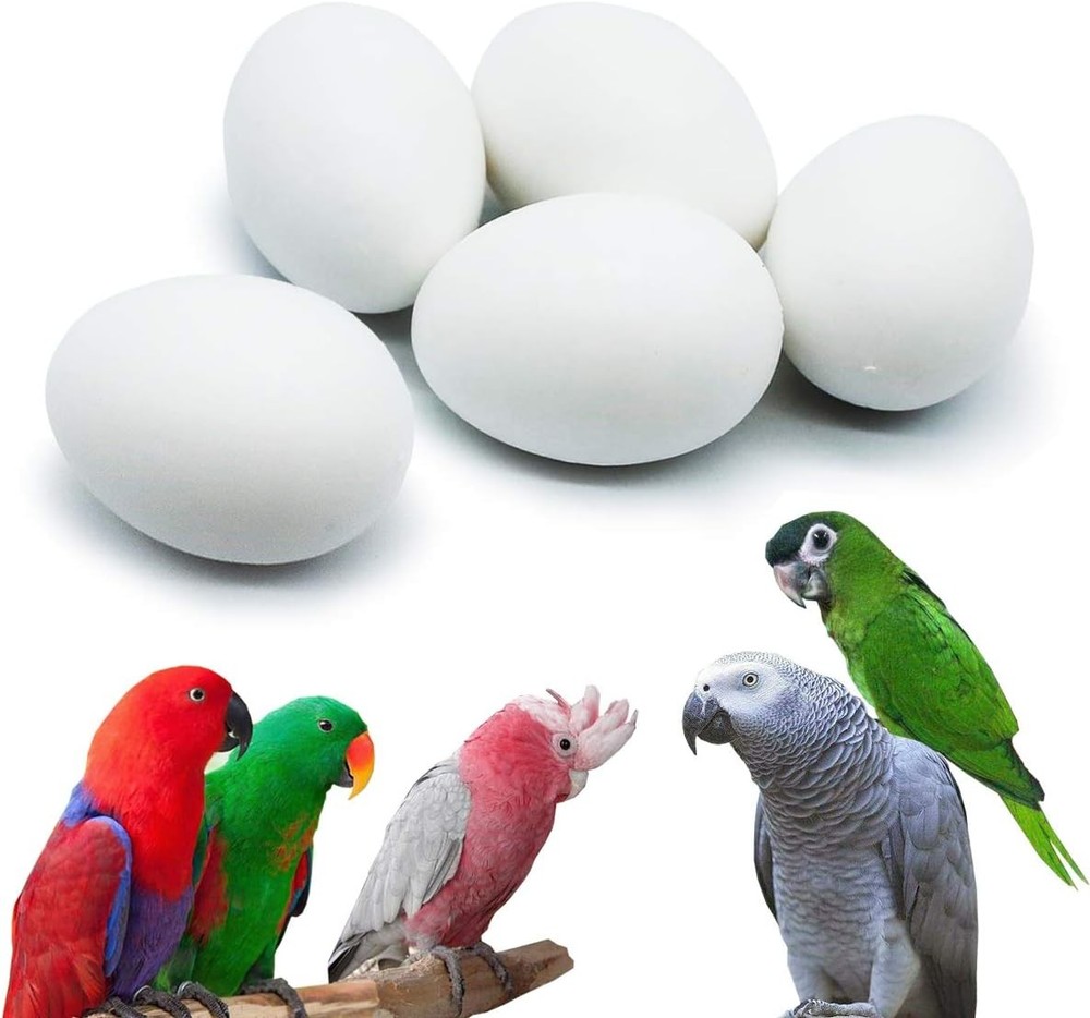 FOIBURELY 5 Pcs Solid Parrot Plastic Eggs Hatching Eggs Mini Macaw Amazon Cockat