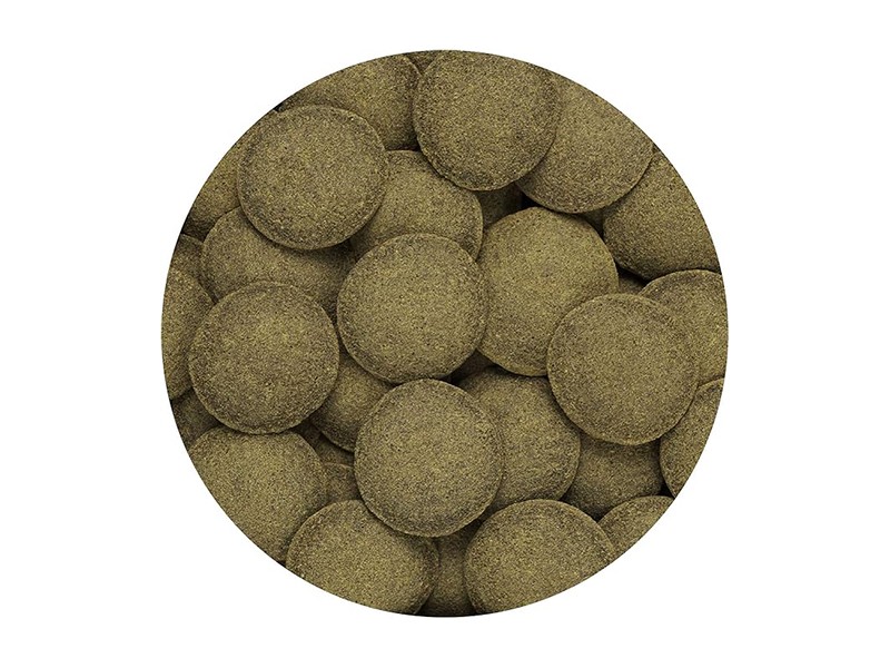 Hikari Algae Wafers for Pets, 0.70-Ounce