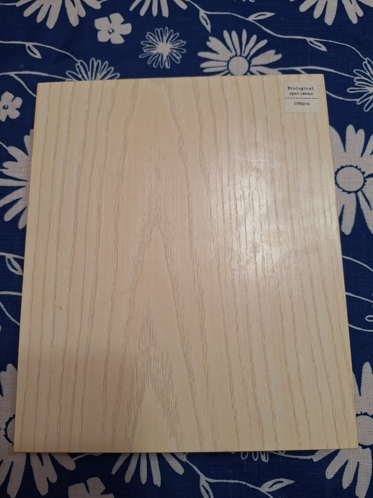 AmScope PS100B Microscope Glass Slide - 100 Count