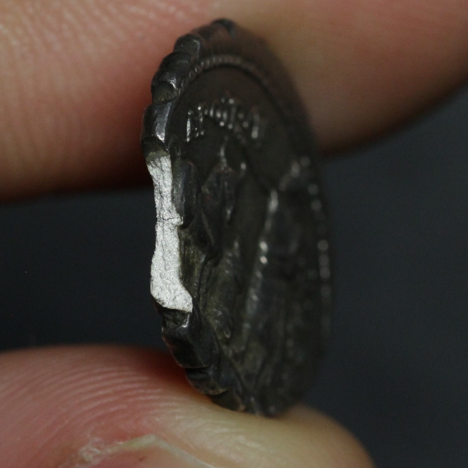 Roman Sacrifice Denarius Serratus 81BC Ancient Rome Republic Silver Coin Albinus