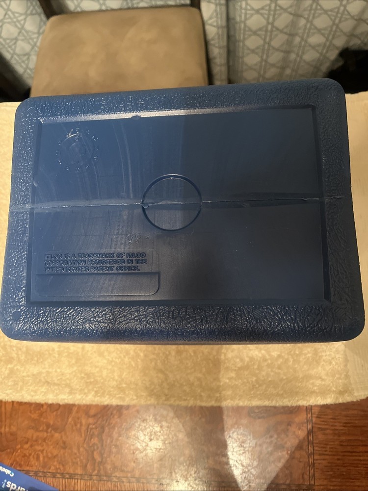 Sony Mega Watchman Igloo Cooler