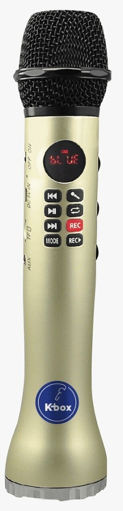 Bluetooth Karaoke Microphone with Speaker, Wireless, Multi-functional, Total Fun