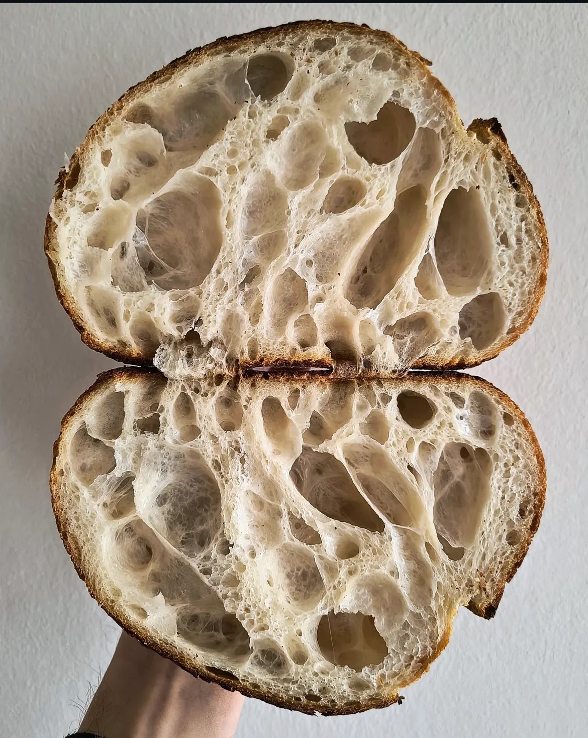 4500 year old Ancient Egyptian Sourdough Starter - Organic Dehydrated Culture