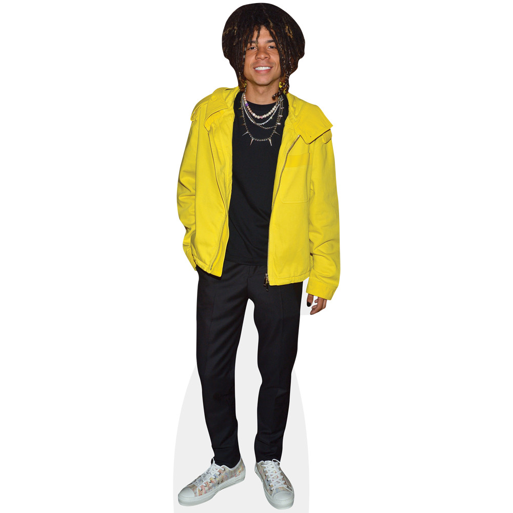 Michael Ian Olmo (Yellow Jacket) Mini Size Cutout
