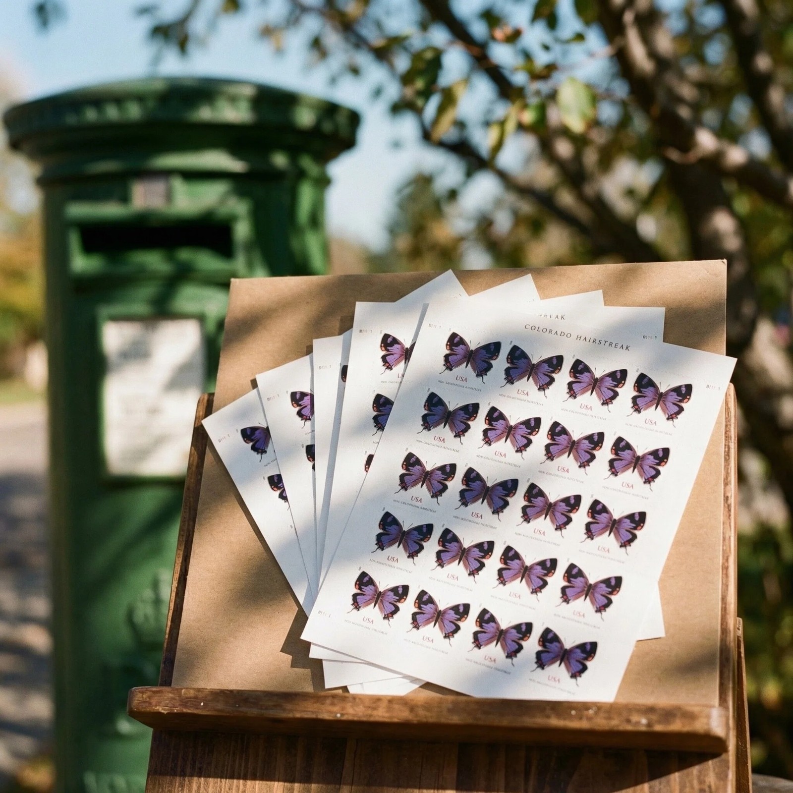 5 SHEETS PURPLE COLORADO HAIRSTREAK - NON-MACHINABLE USPS STAMPS - 100 TOTAL