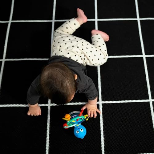 Baby Einstein Ocean Explorers Opus’s Shake & Rattle & Soothe Teether