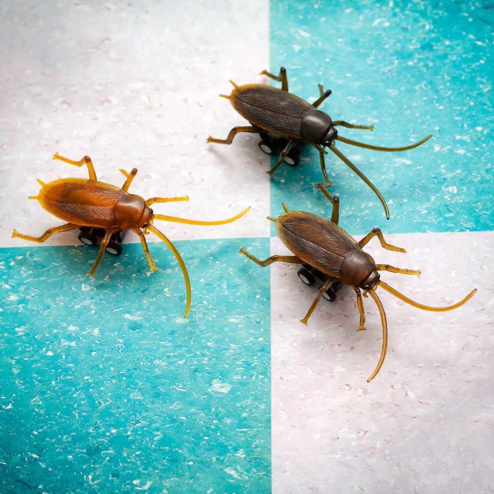 X2 Racing Roaches Toy Set