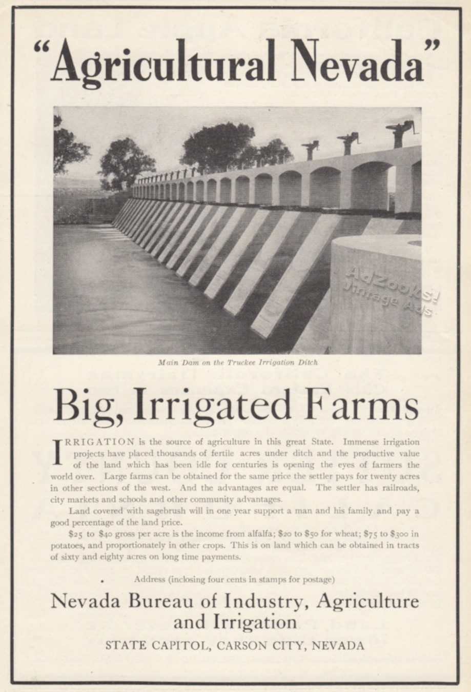 1912 Irrigated Farms Nevada Print Ad – Derby Dam & Canal on Truckee River Pix