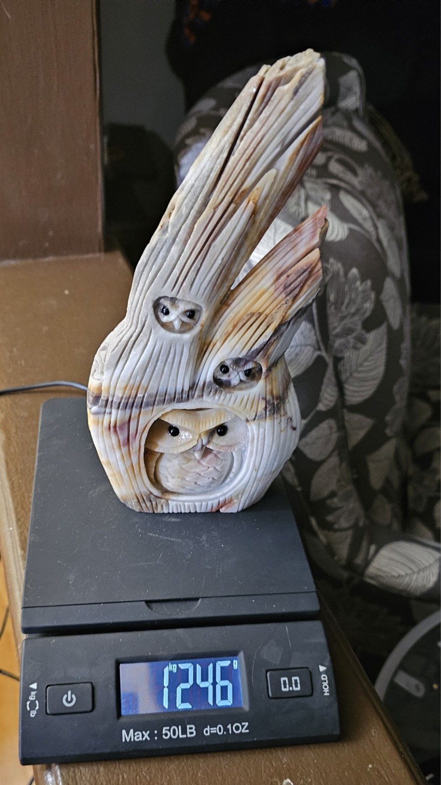Carribean Calcite Owls In Tree Carving