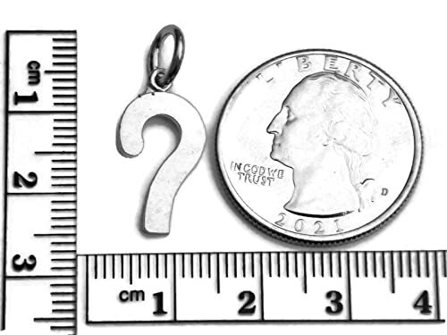 Hook .925 Sterling Silver Charm pendant