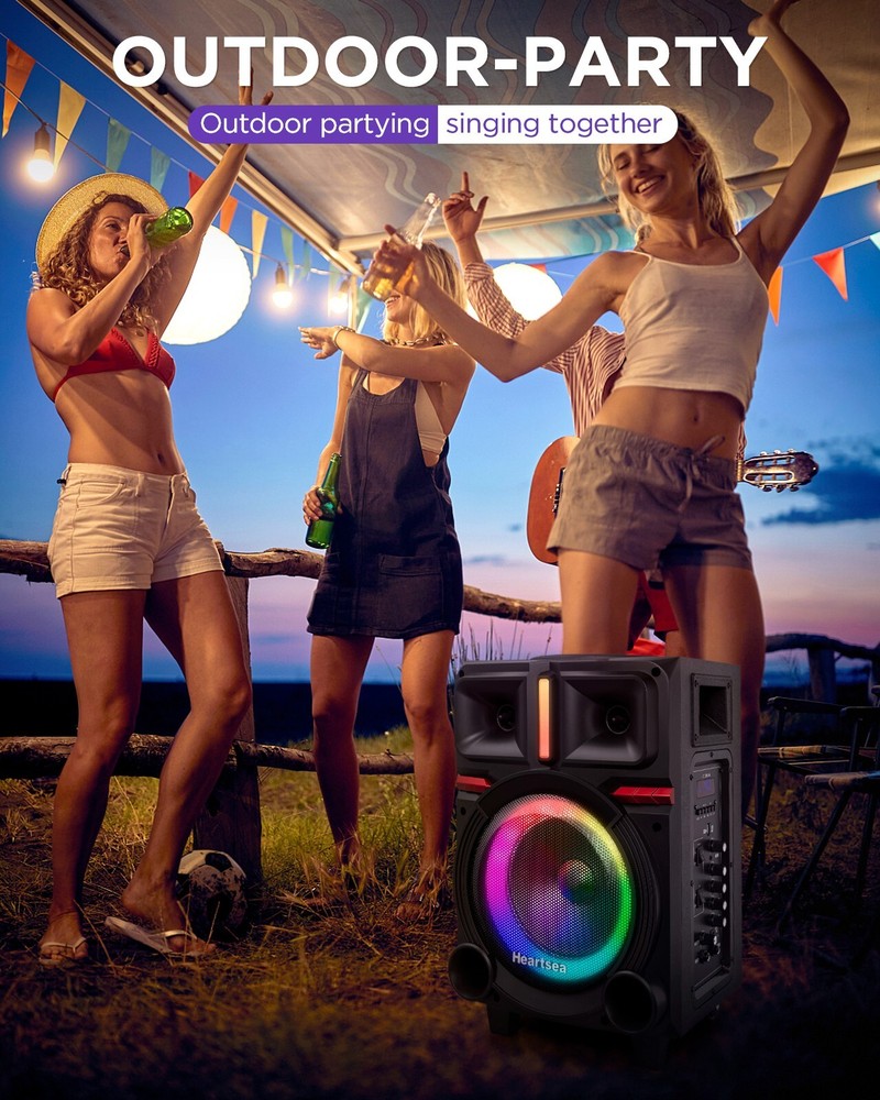 Karaoke Machine with 2 Wireless Microphones & Bluetooth Speaker