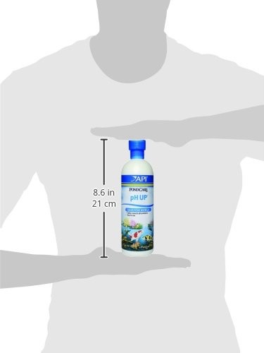 API POND pH UP Pond Water pH Raising Solution 16oz Bottle
