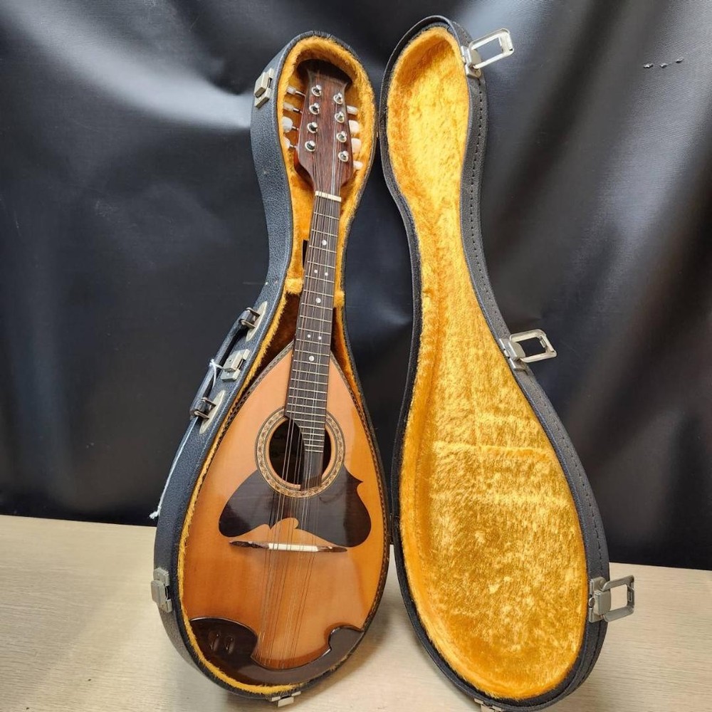 Suzuki violin mandolin M-218 with case