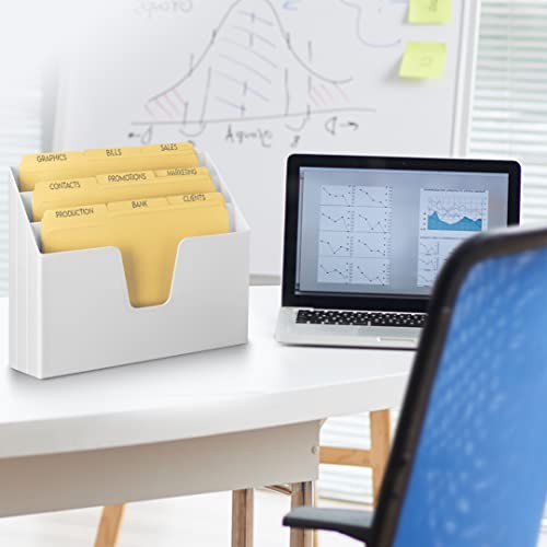 Horizontal Triple File Folder Holder Organizer, Includes 9 Manila Folders